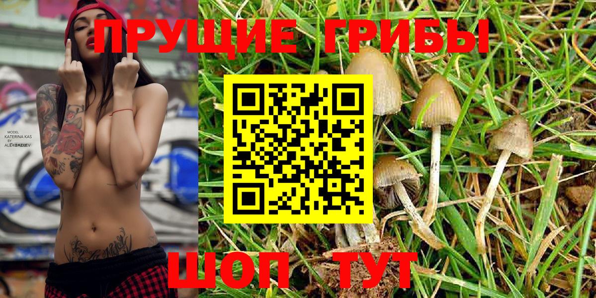 Беслан  магазин  наркотиков  Вход с VPN  Галлюциногенные грибы Psilocybe 